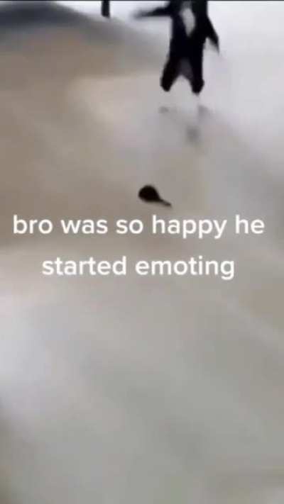 bro got too excited