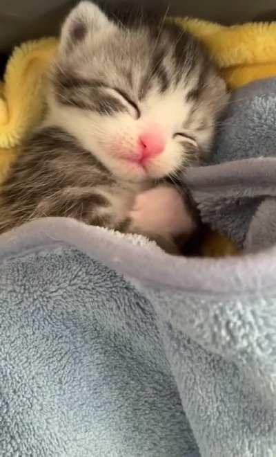 Cuteness overload