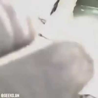 Bajen el volumen si est&aacute;n usando aud&iacute;fonos