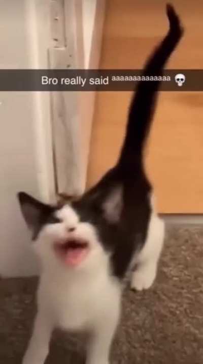 AAAAaaaaaa...