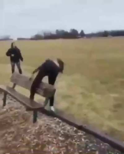 xd