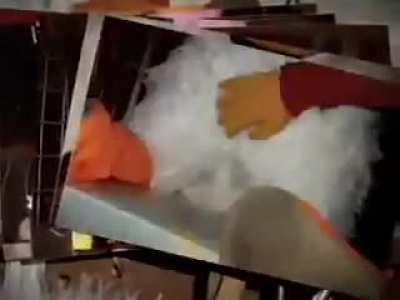 DuckTales irl