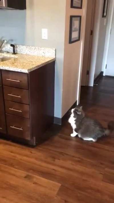to jump