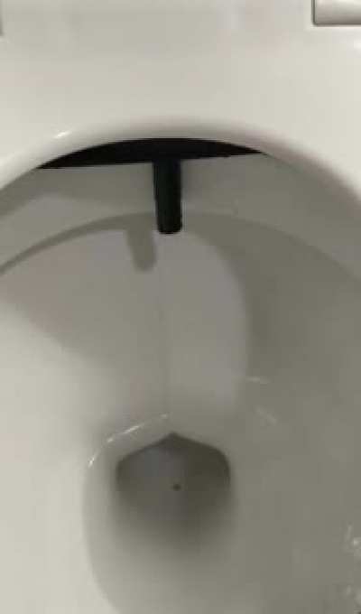 Testing out a bidet