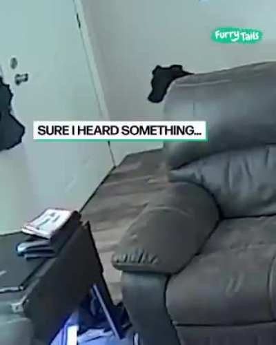 Help Brother
