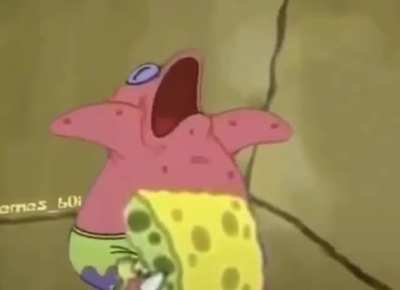 Nooo bob esponja