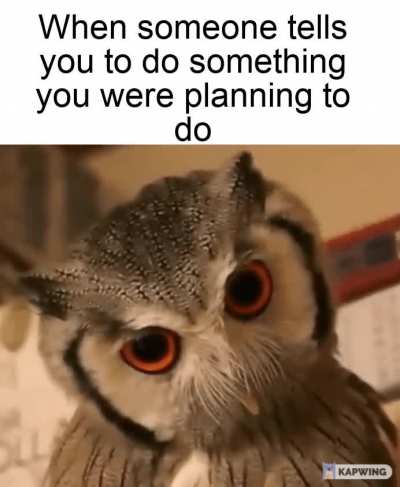 damnit people!