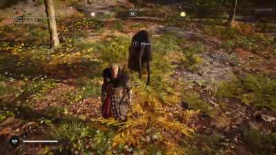 Noble steed showing me how to do a leap of faith
