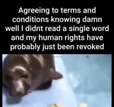 rule