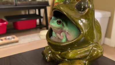 Jam sesh&rsquo; with my dude, IronFrog - TURN IT UP 🐸🤘🏽🎶🎤🔊