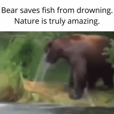 Let&rsquo;s go bois another one saved from harm.