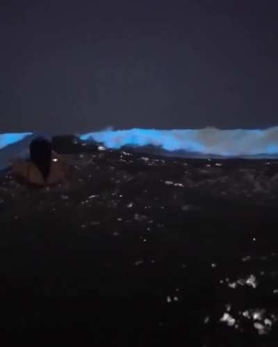 Bioluminescent algae embedded in sand