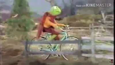 Kermit fucking dies