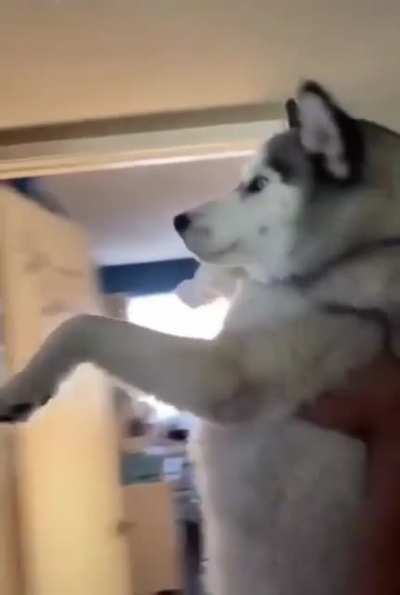 Nooooo