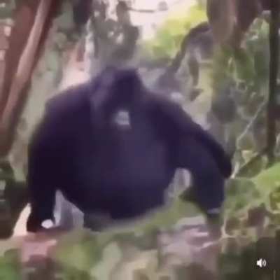 vdd