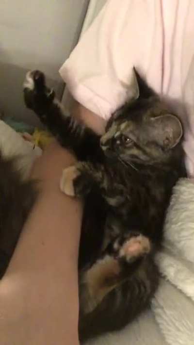 Baby Booboo&rsquo;s signature &lsquo;air biscuits&rsquo; on the first night I brought her home.