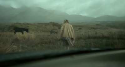 The Lobster (2015) Dir. Yorgos Lanthimos, DoP. Thimios Bakatakis