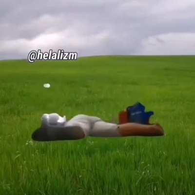adem allah geliyo