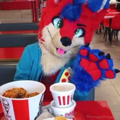 furry_irl