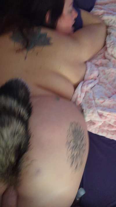 Tail plug sex