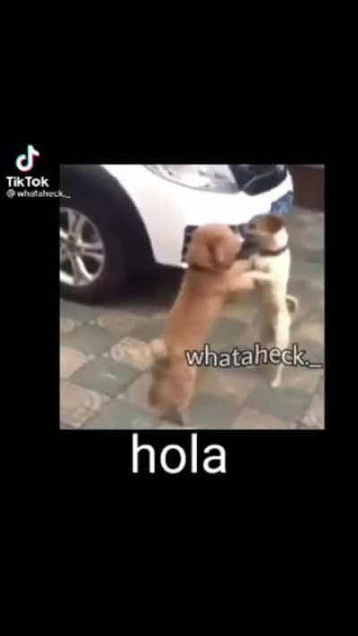 romeo