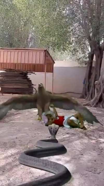 What is this