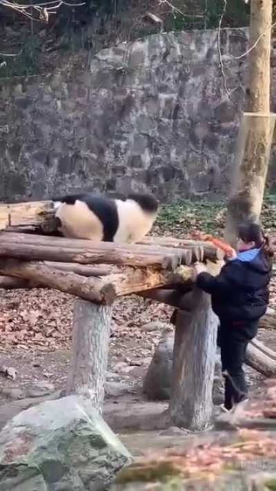 Hey, wake up!
