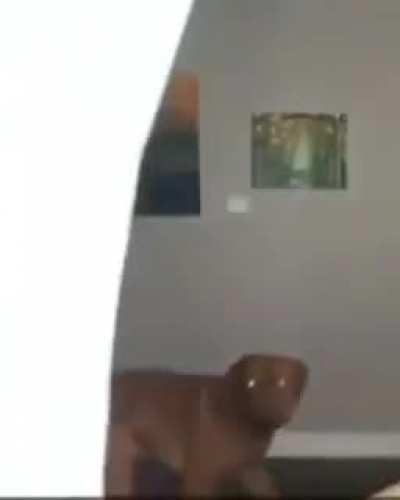 wtf....