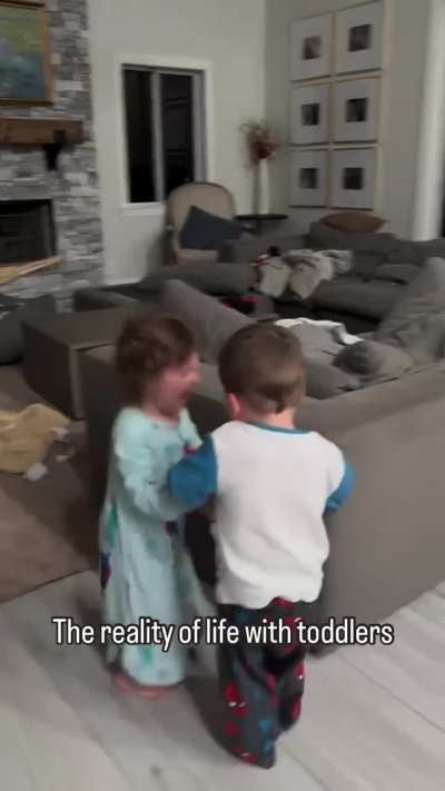 Life with toddlers