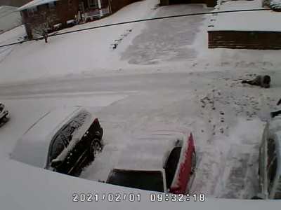 Fighting About Snow