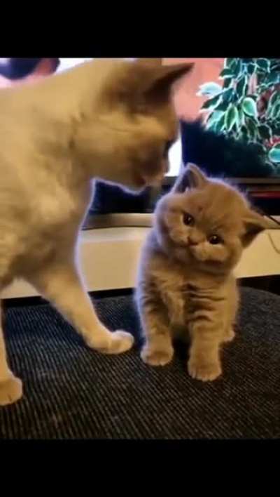 Mother love😍😍