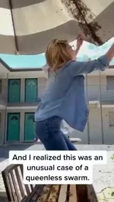 Talk about fearless! This woman removing bees with her bare hands is a testament to her bravery and quick thinking. Who needs protective gear when you have nerves of steel?! 🐝 #BeeRemoval #BareHanded