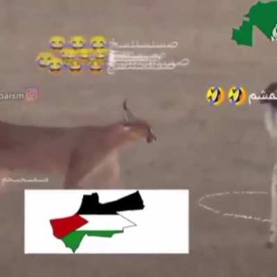 Floppa coverted to islam funny moments