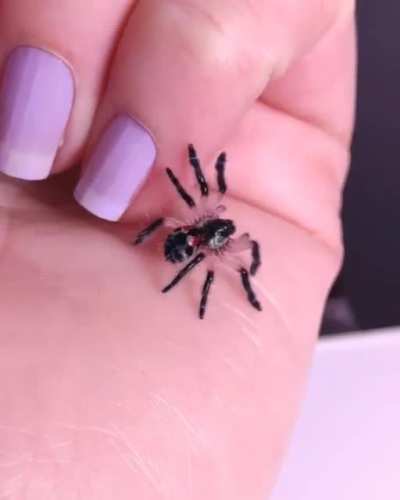 Little cutey