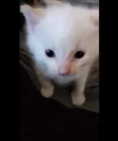 Tiny little scream!