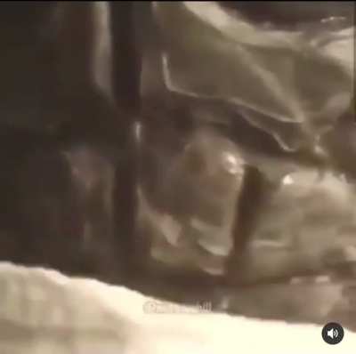 AYOOOOOOO!!!😳