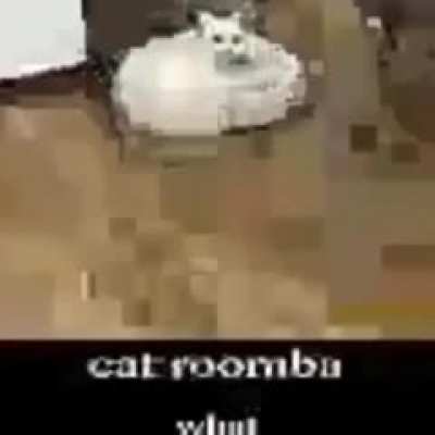 rule