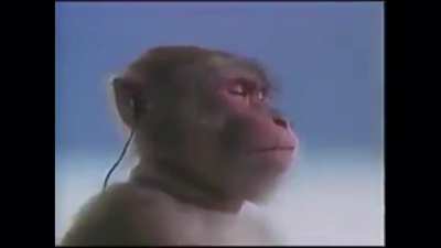 anyone else feelin like this guy right about now?