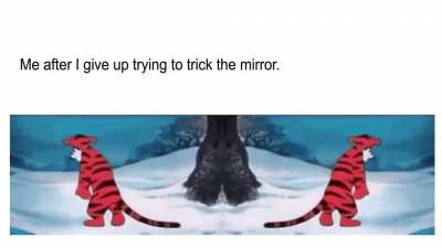 Perhaps next time.