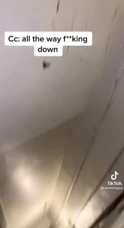 This is fucking disgusting