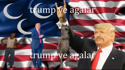 evet twitterda &uuml;lk&uuml;c&uuml; trump twitleri atıp kendimi komik sanıyorum