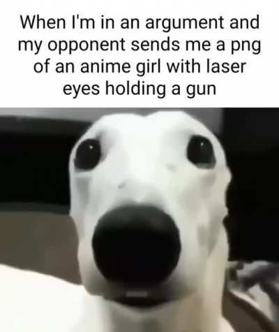 Shiver me timbers