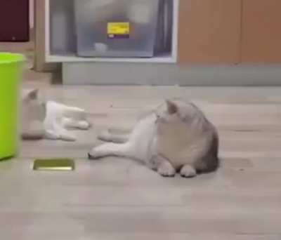 Maybe Maybe Maybe