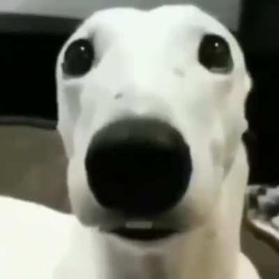 🥶