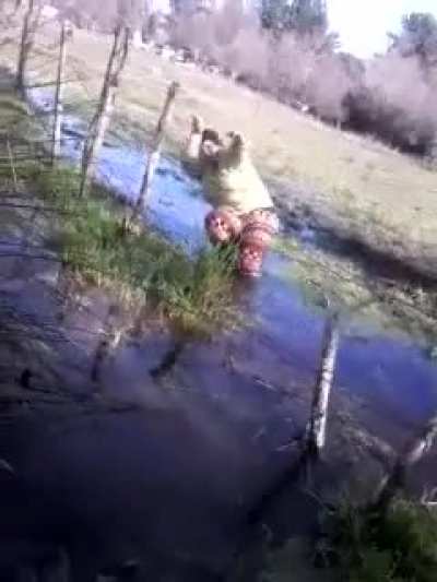 Recaliente la do&ntilde;a jajajaja