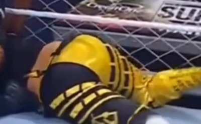 Bayley 