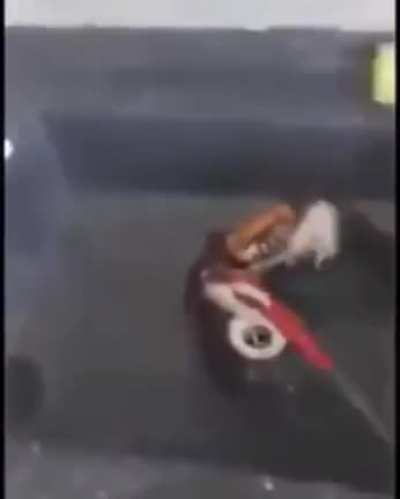 Pelea a muerte con cuchillos? Pelea a muerte con cuchillos