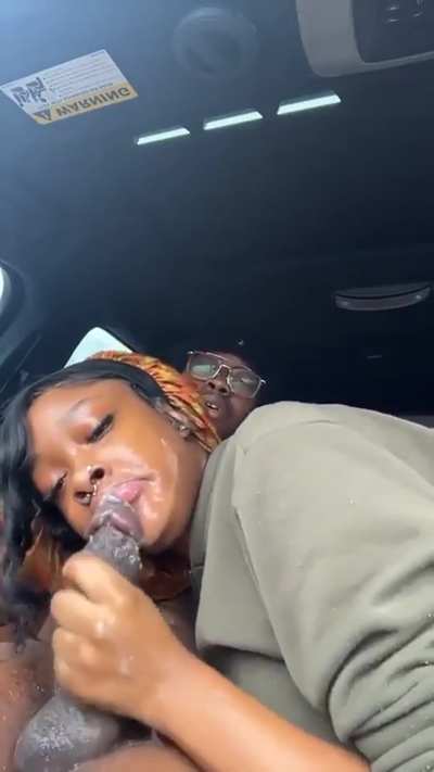 Head in the Whip
