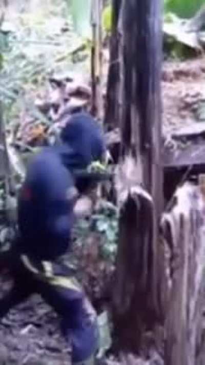 Maybe Maybe Maybe