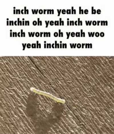 Oh yeah woo yeah he inchin